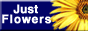 Just Flowers Button